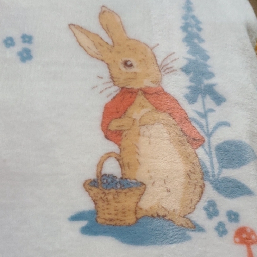 Peter Rabbit Blanket & Sheet Set 🥕 4 Piece Set - Picture 11 of 12